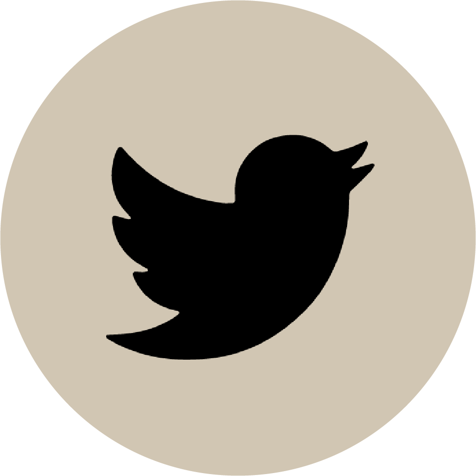 X (Twitter)